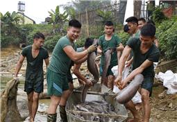 Binh cường nhờ thực túc